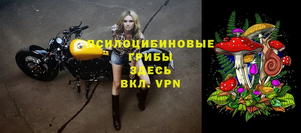 гидра Новозыбков
