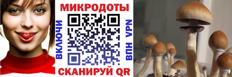 Псилоцибиновые грибы Cubensis  что такое наркотик  Ряжск 